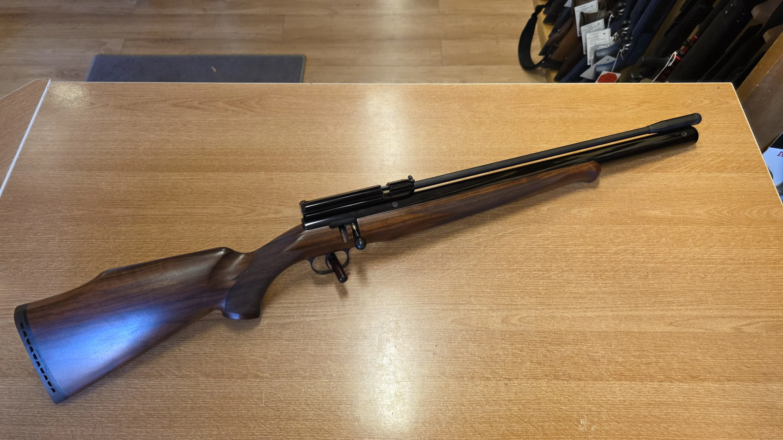 RWS 22 Excalibre 10 - airgunmalaysia.com