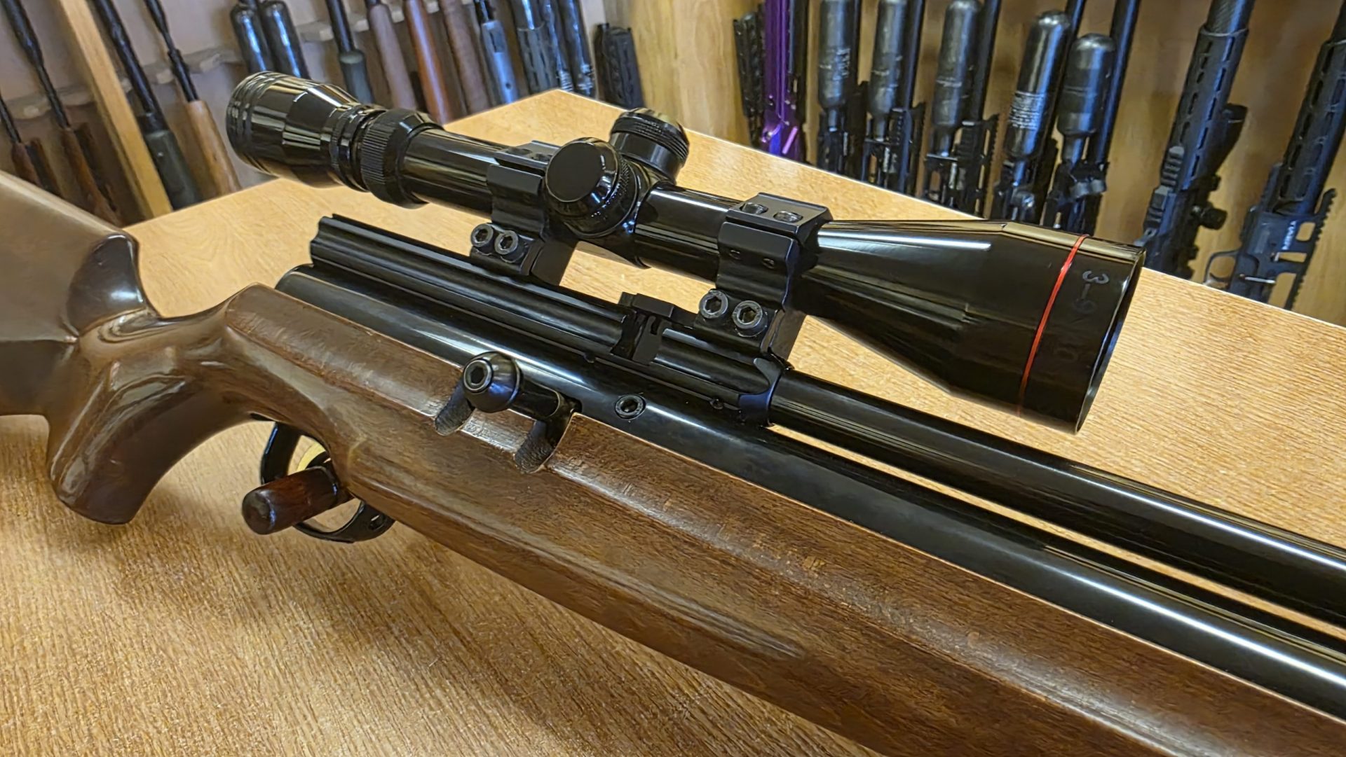 Webley 22 Raider 10 - airgunmalaysia.com