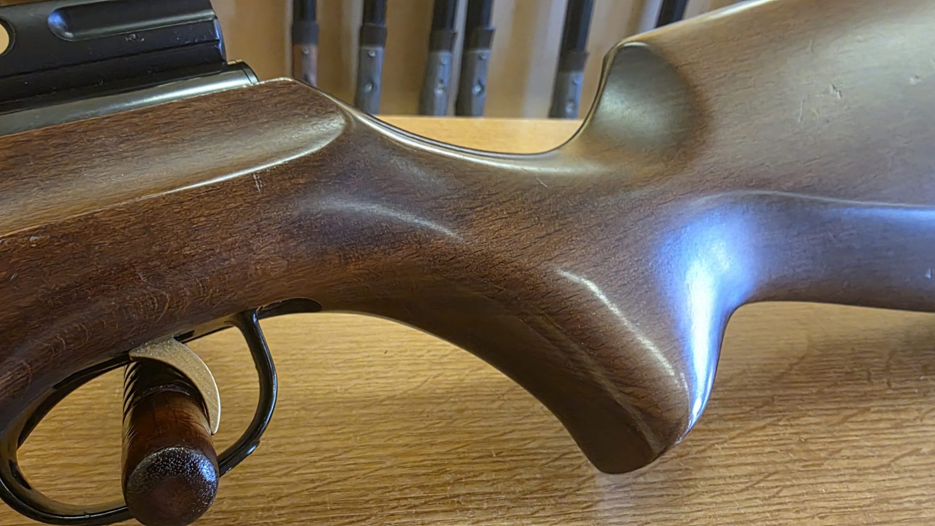 Webley 22 Raider 5 - airgunmalaysia.com